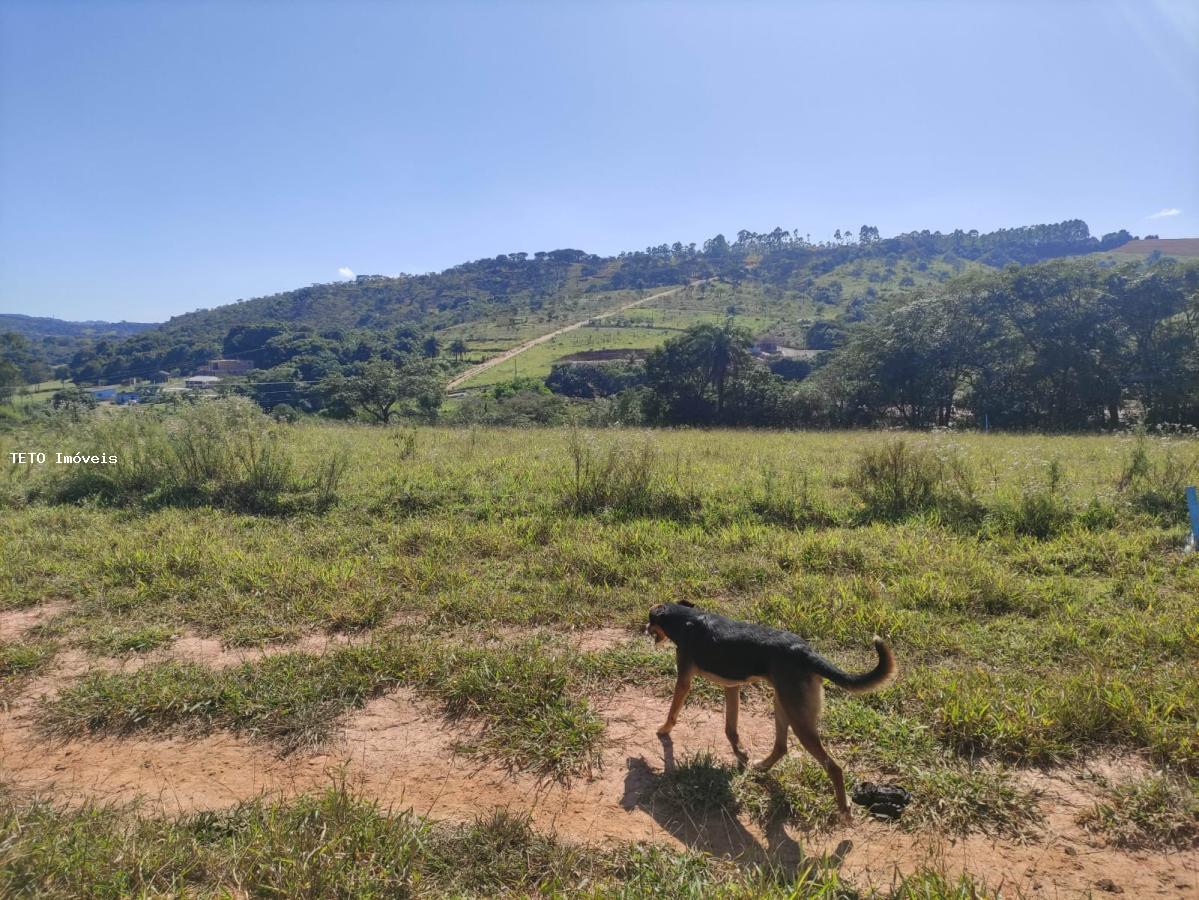 Terreno à venda, 1000m² - Foto 7