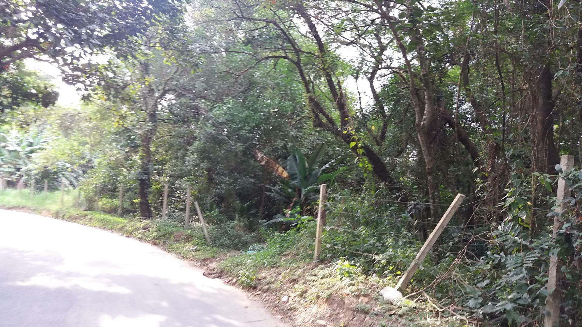 Terreno, 6769 m² - Foto 5