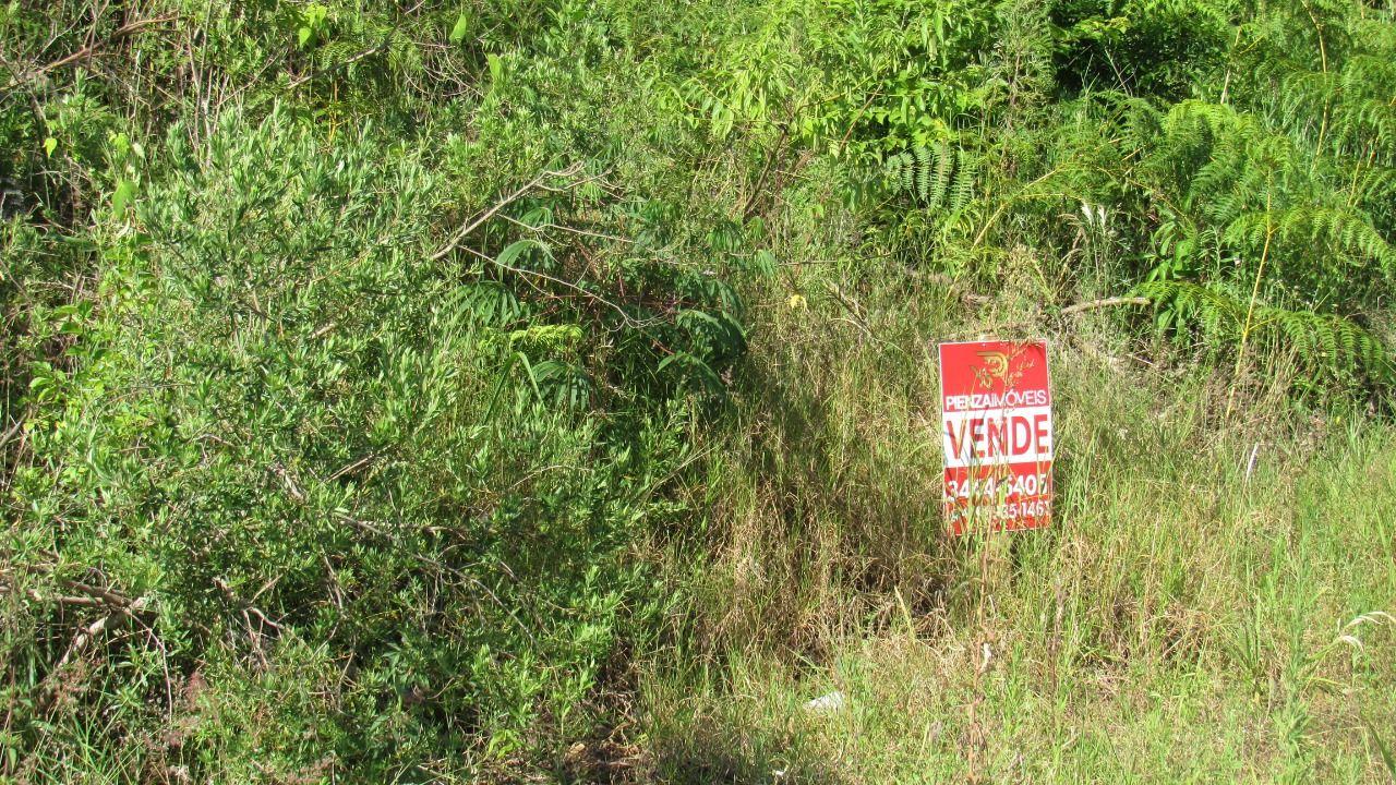 Terreno à venda, 504m² - Foto 5