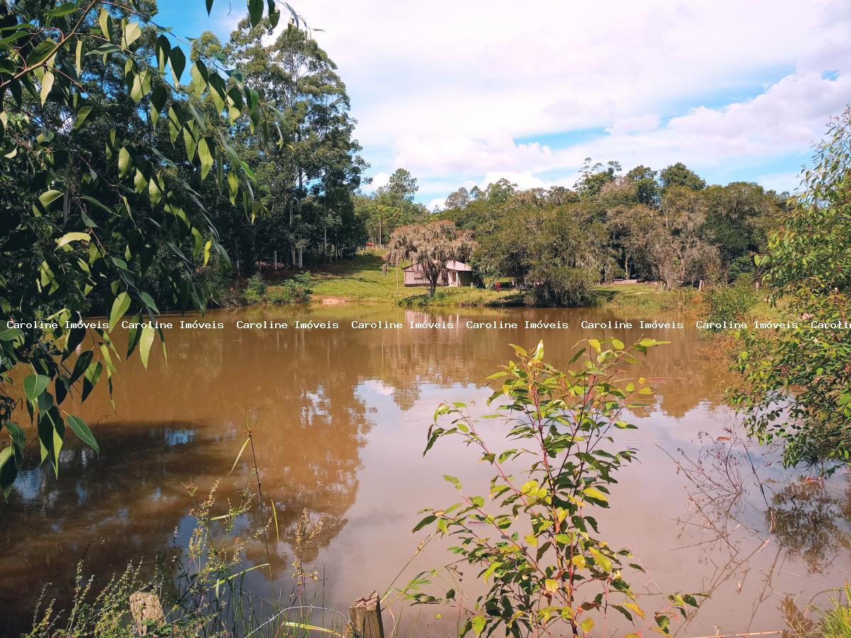 Fazenda à venda com 5 quartos, 625000m² - Foto 31