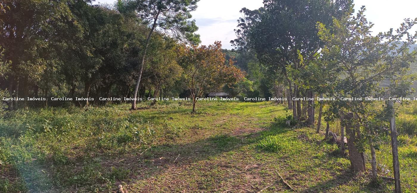 Loteamento e Condomínio à venda, 6000m² - Foto 3