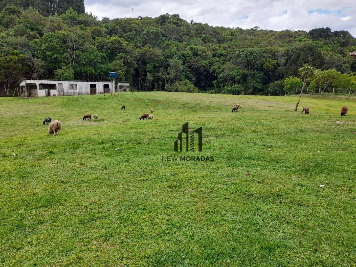 Chácara à venda com 2 quartos, 100m² - Foto 39