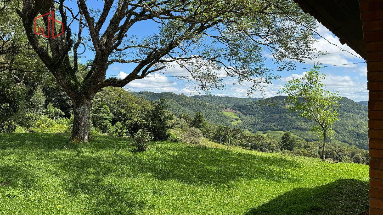 Sítio à venda com 3 quartos, 140125M2 - Foto 7