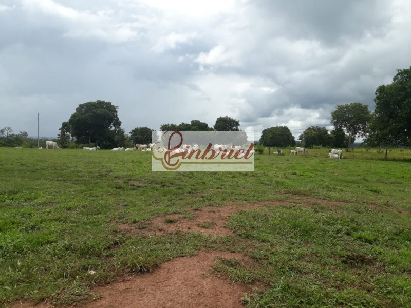 Fazenda à venda, 11000000m² - Foto 6