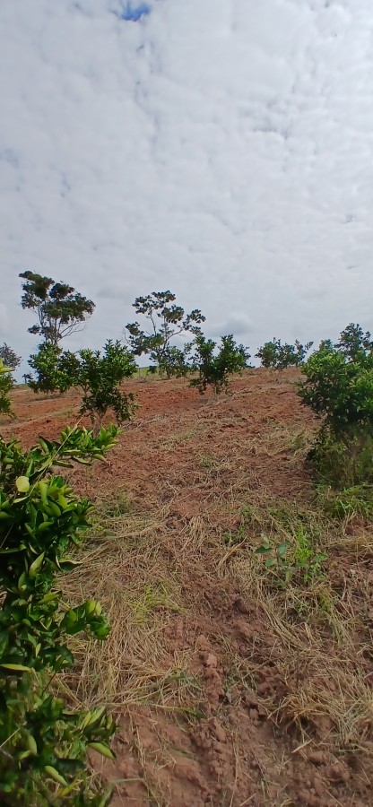 Sítio à venda com 3 quartos, 67000m² - Foto 9