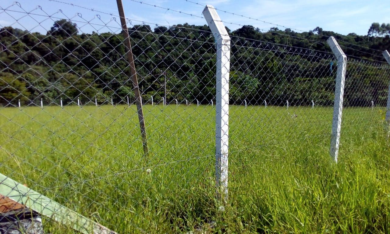 Fazenda à venda - Foto 3