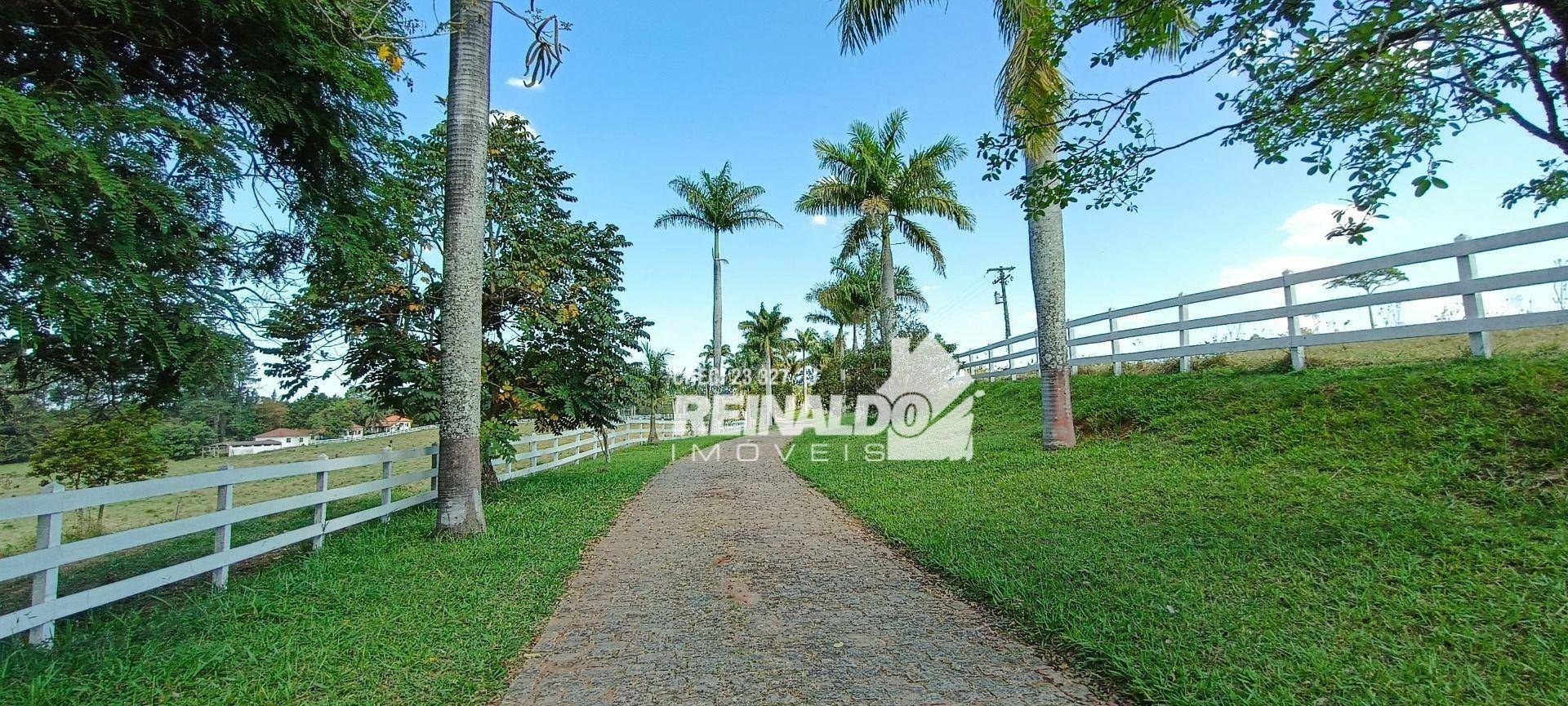 Haras e Área Rural Padrão à venda com 16 quartos, 2500m² - Foto 185