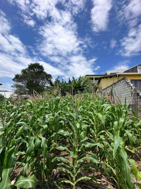 Chácara, 2 quartos, 500 m² - Foto 1