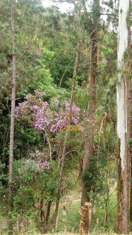 Terreno à venda, 3000M2 - Foto 30