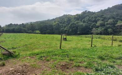 Fazenda à venda com 3 quartos, 290000m² - Foto 19