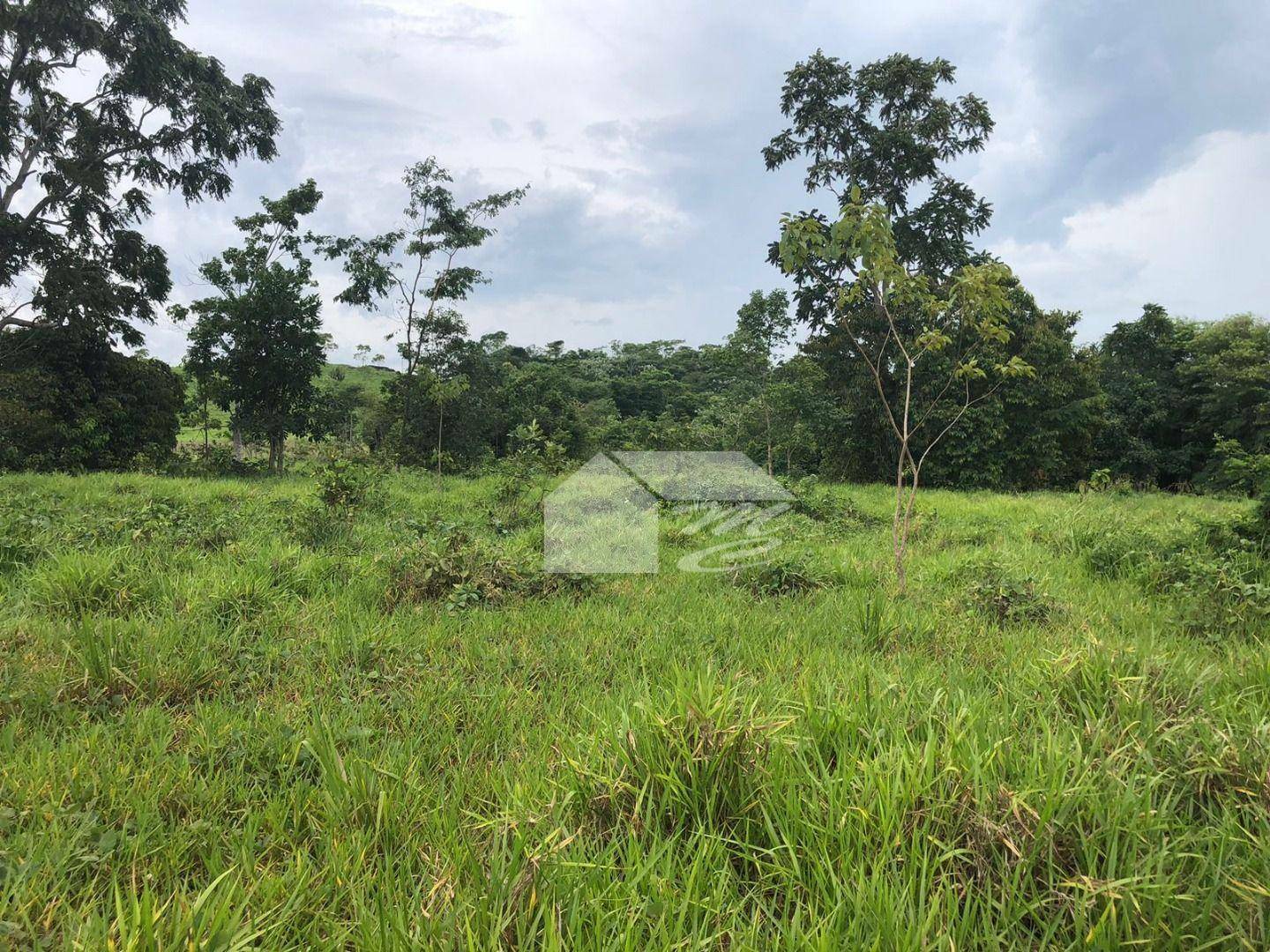 Chácara à venda com 1 quarto, 3024M2 - Foto 7