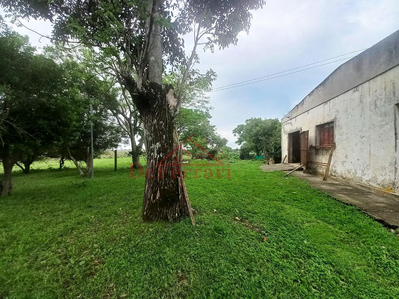 Fazenda-Sítio-Chácara, 5 quartos - Foto 6