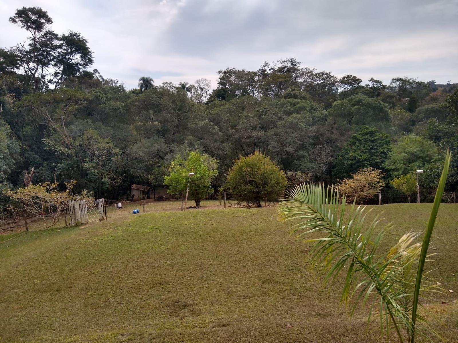 Fazenda à venda com 3 quartos, 5300m² - Foto 39