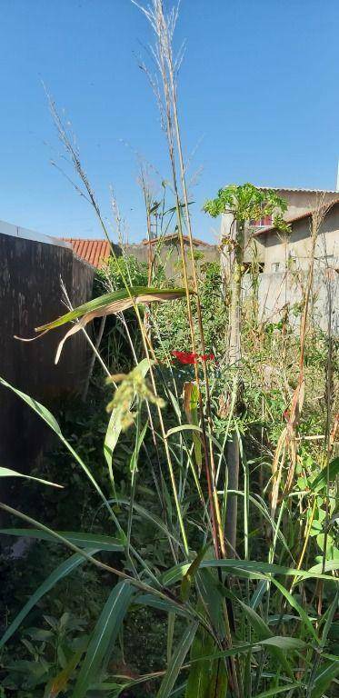 Terreno à venda, 125M2 - Foto 7