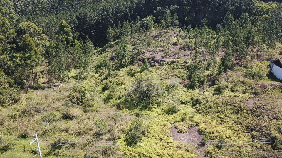 Terreno à venda, 6010 - Foto 13