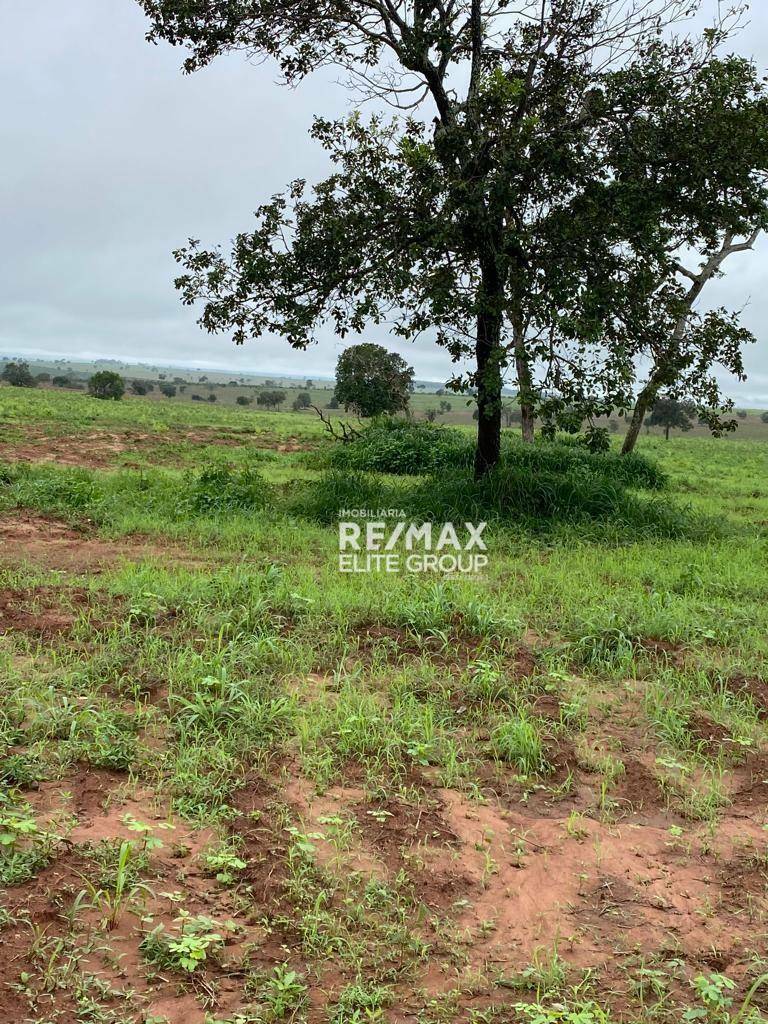 Fazenda à venda com 1 quarto, 1m² - Foto 2