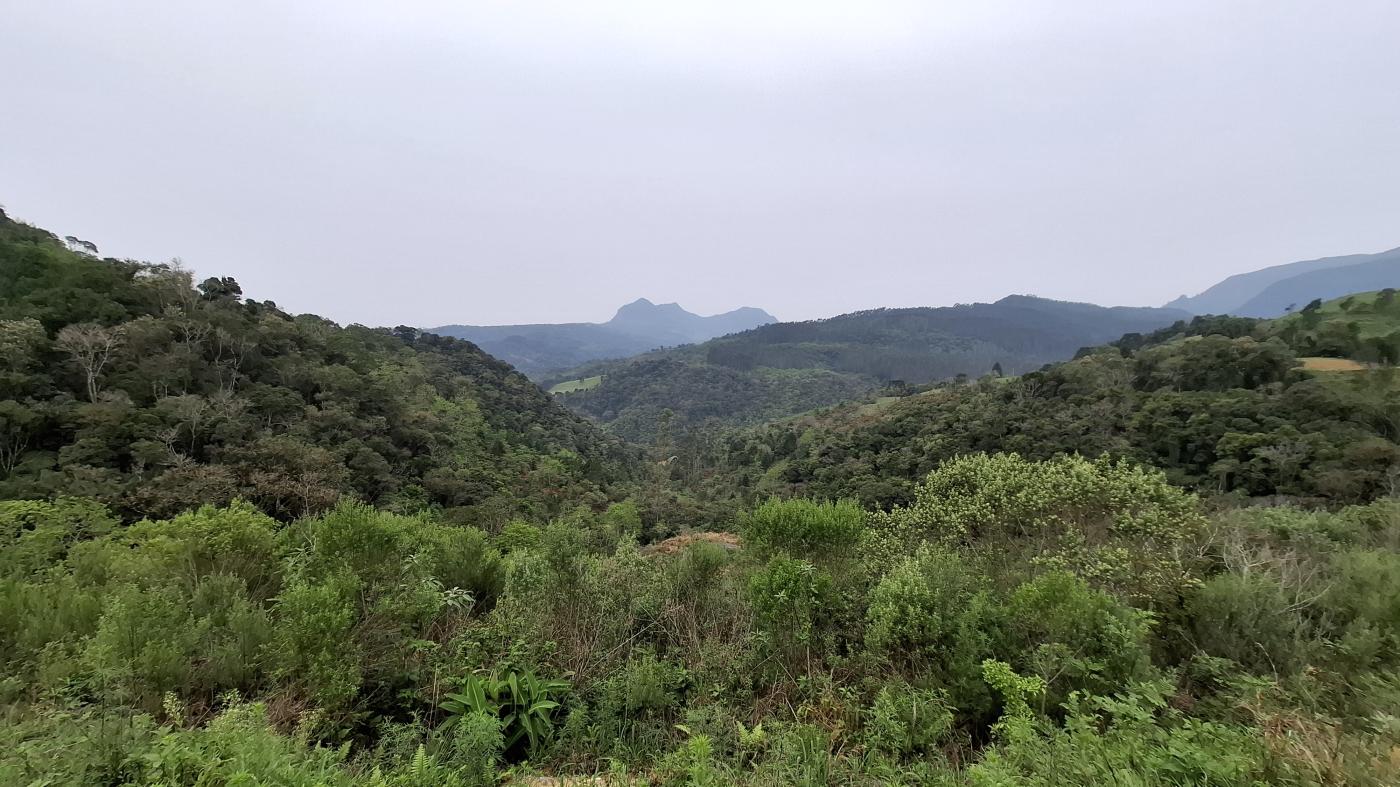 Fazenda à venda, 40000m² - Foto 5