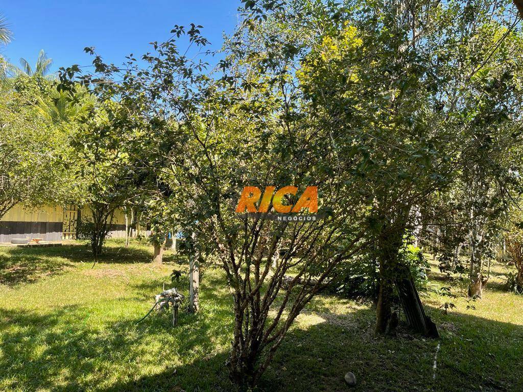 Chácara, 3 quartos, 2 hectares - Foto 33