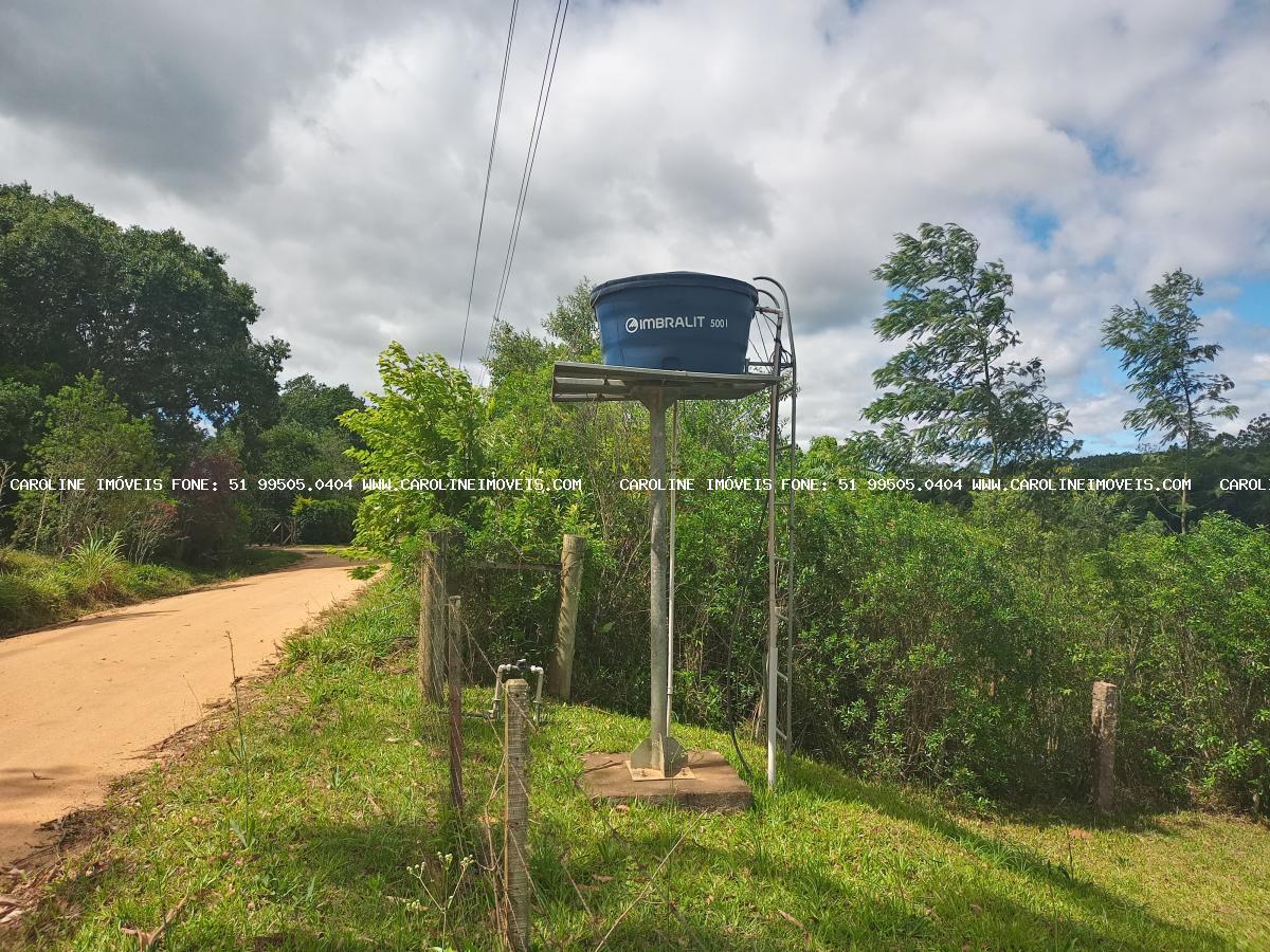 Chácara à venda com 3 quartos, 29000m² - Foto 5