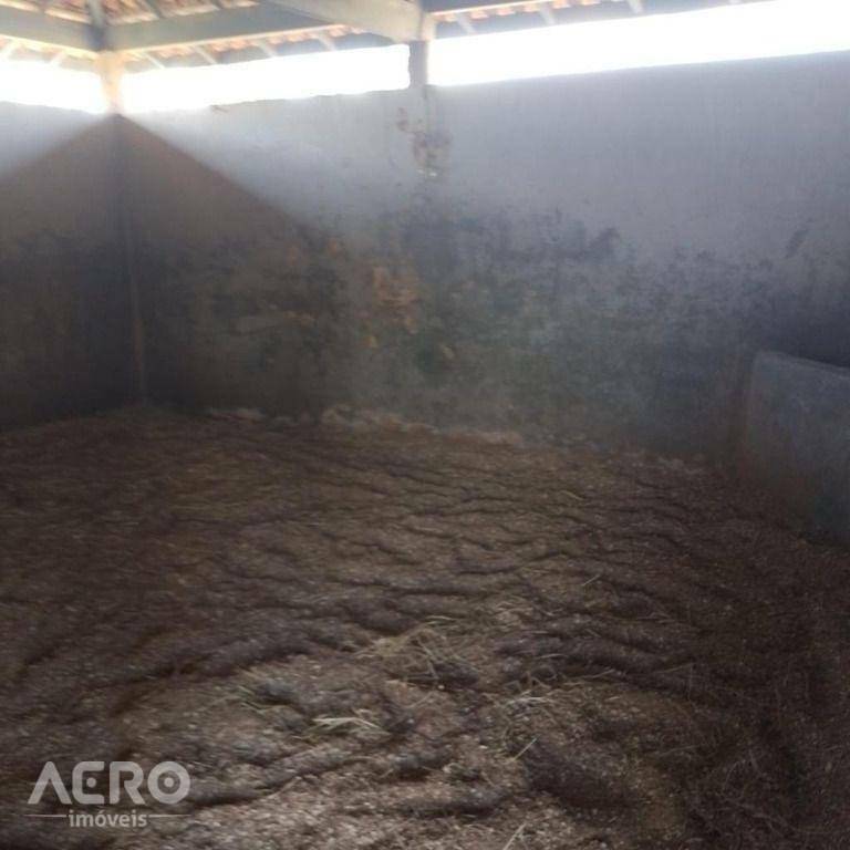 Fazenda à venda com 3 quartos, 400m² - Foto 11