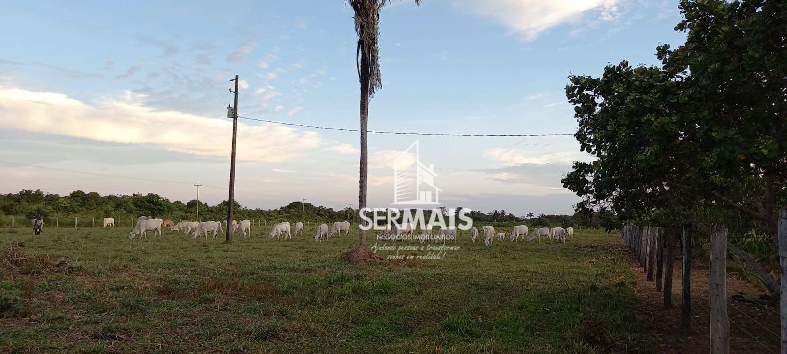 Fazenda-Sítio-Chácara, 93 hectares - Foto 4
