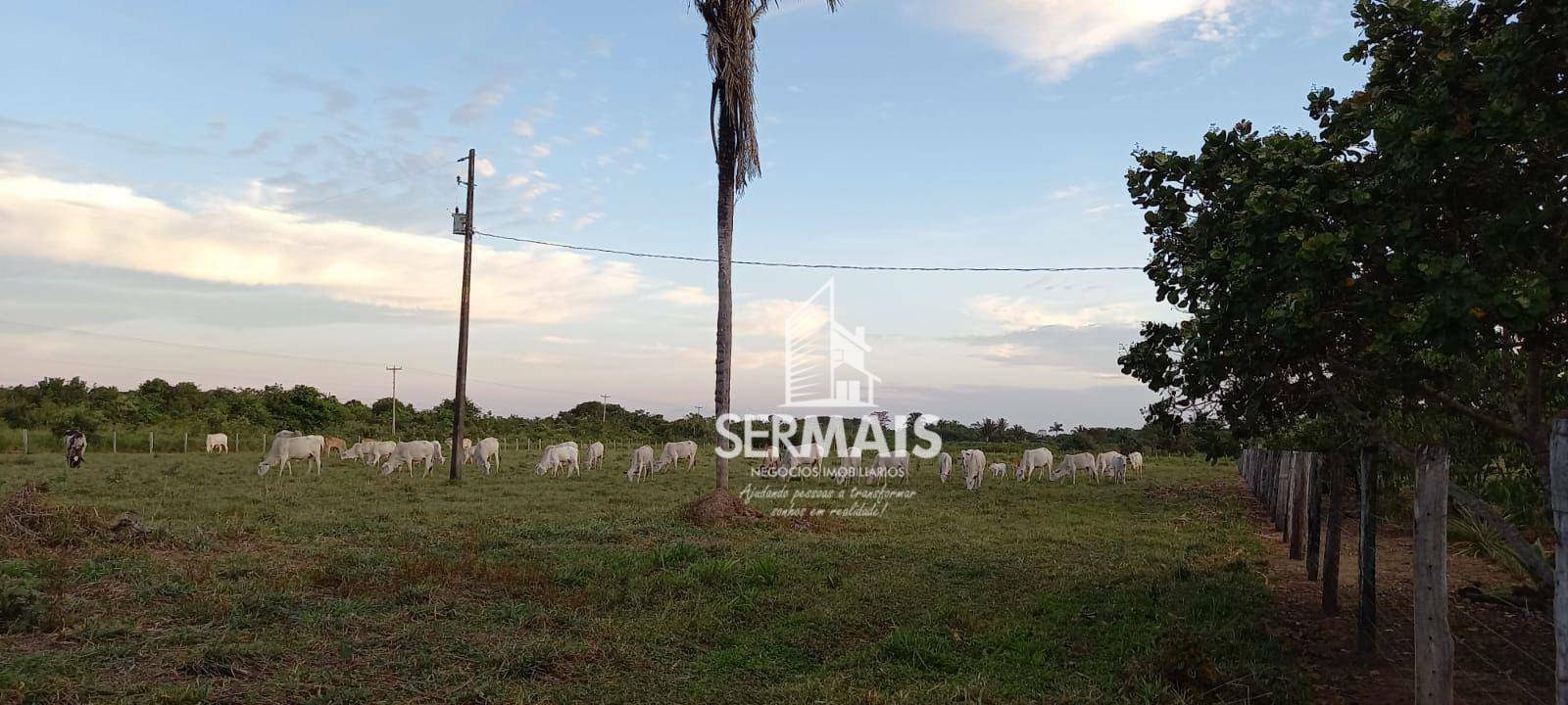 Fazenda à venda com 2 quartos, 930000M2 - Foto 4