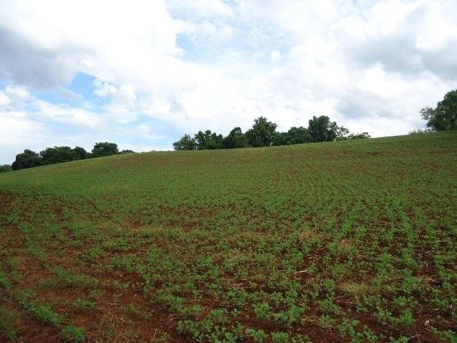 Fazenda à venda - Foto 1