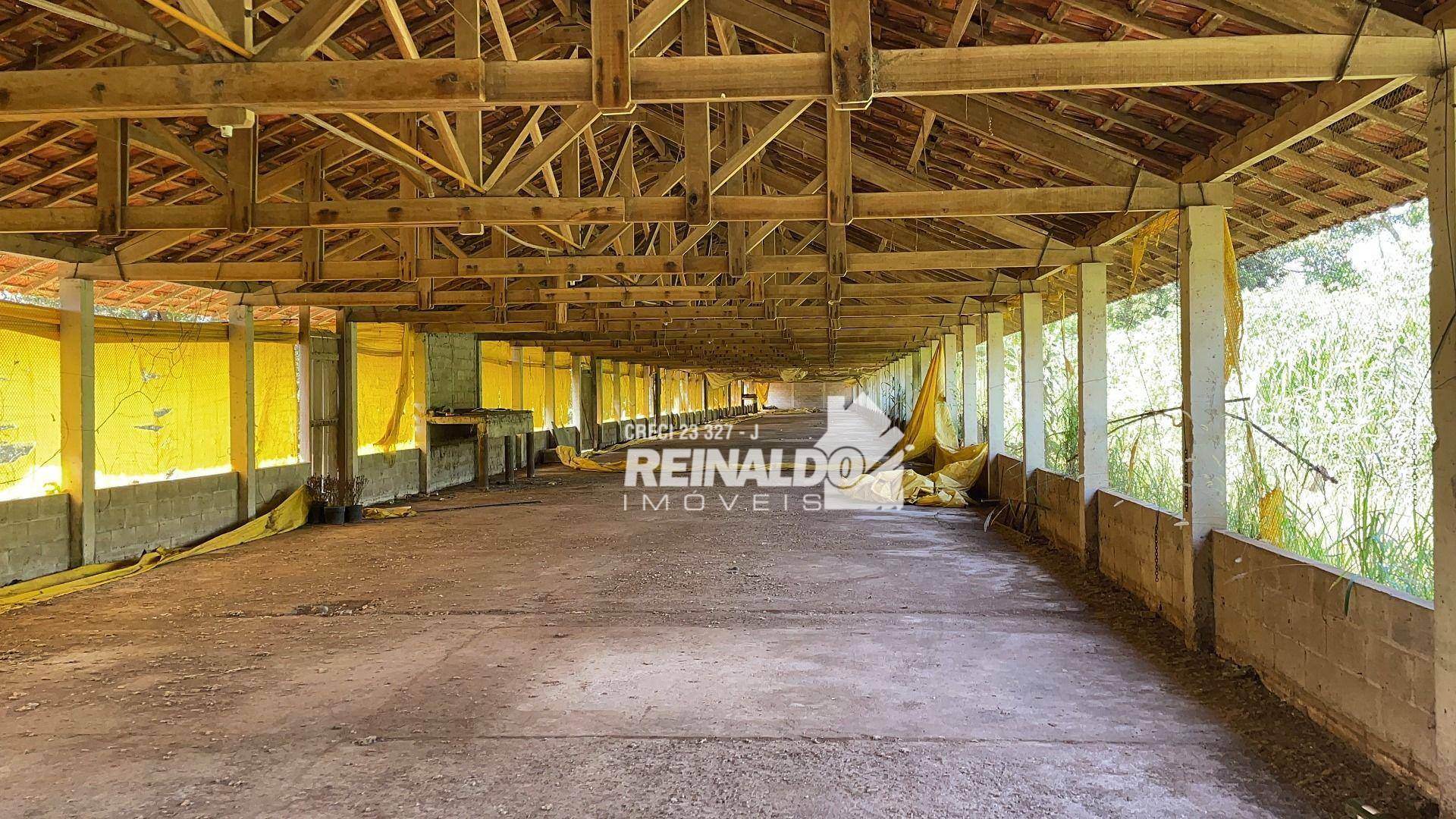 Sítio à venda com 12 quartos, 2000m² - Foto 38