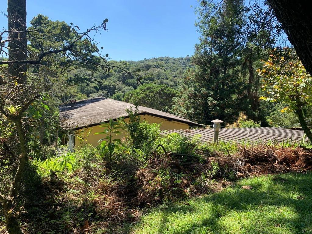 Sítio à venda com 3 quartos, 30831m² - Foto 2