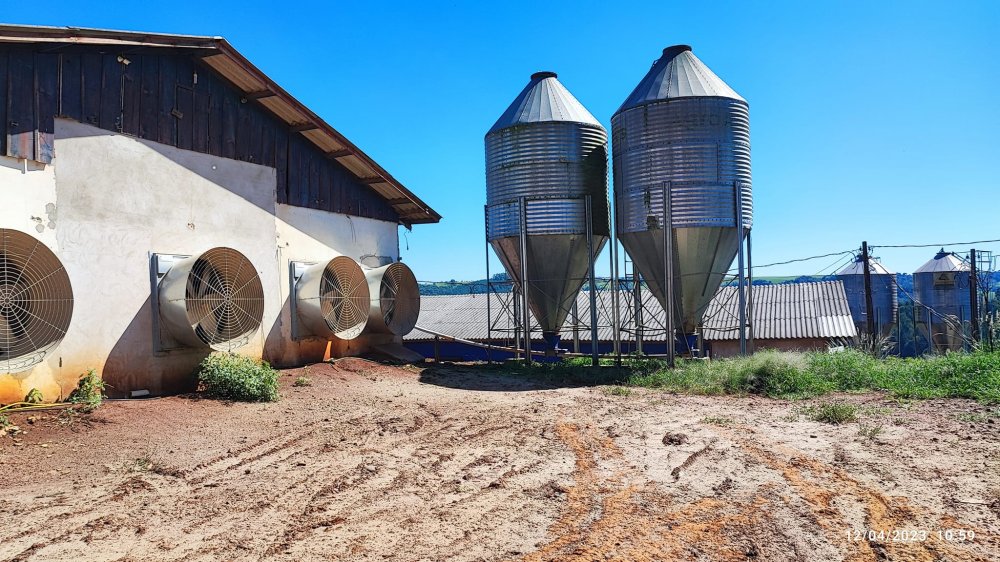 Fazenda à venda, 12m² - Foto 8