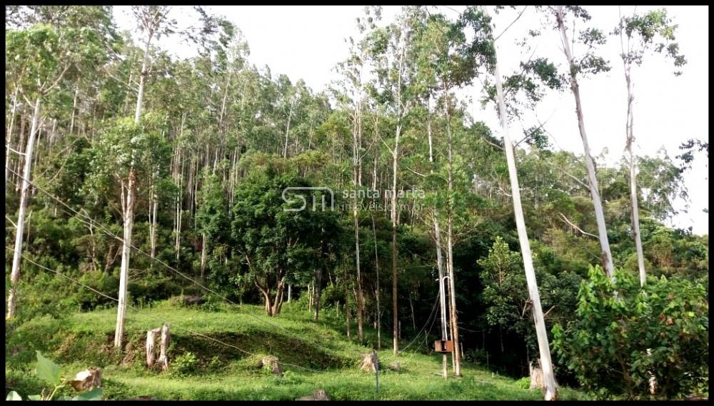 Fazenda à venda com 5 quartos, 71m² - Foto 6