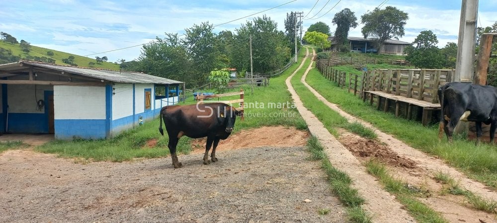 Fazenda à venda com 1 quarto, 150m² - Foto 72