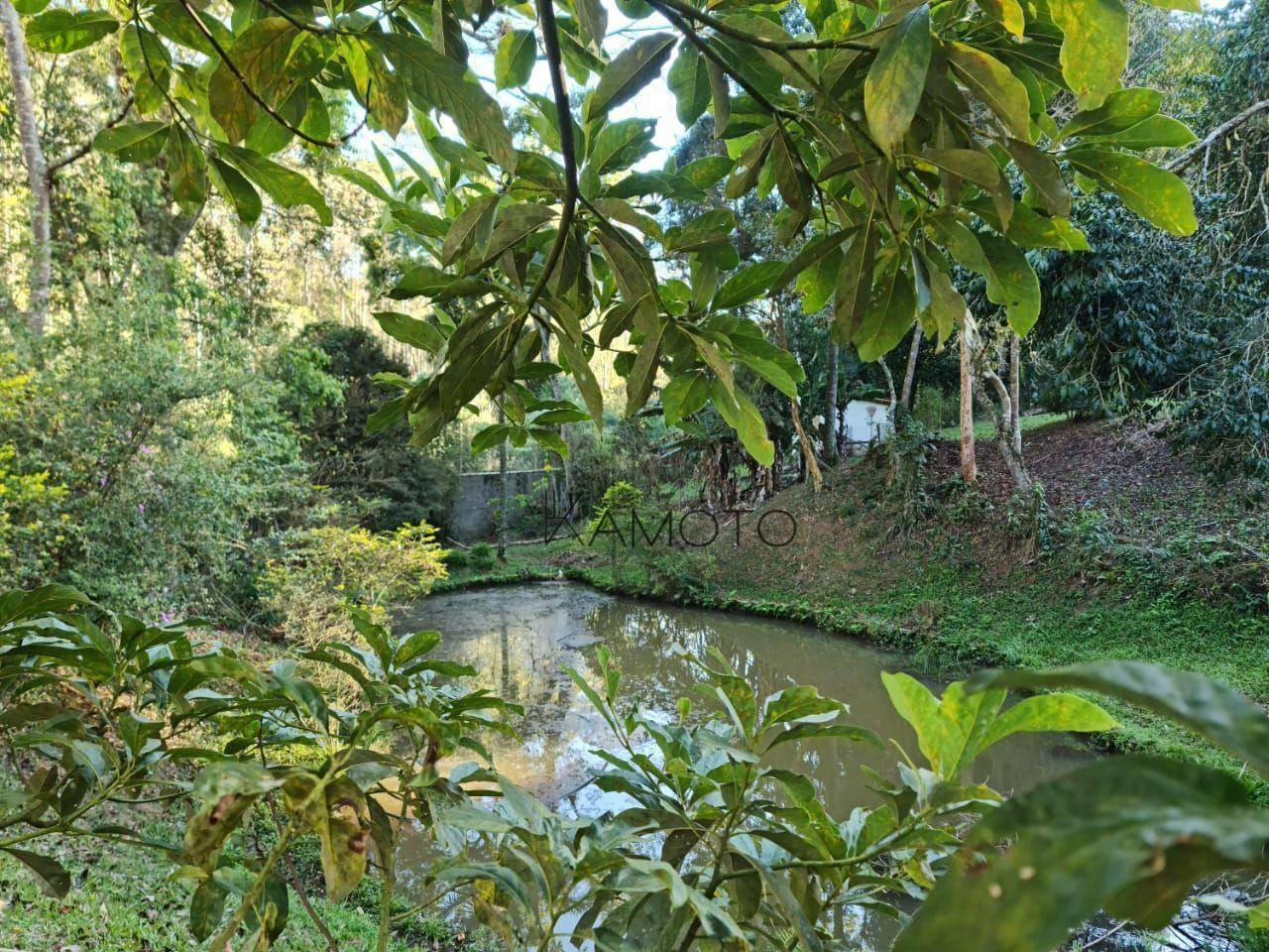 Terreno à venda, 2000M2 - Foto 4