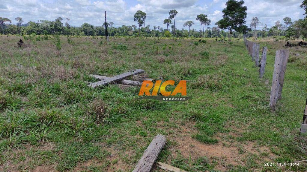 Fazenda à venda com 4 quartos, 1400000M2 - Foto 6