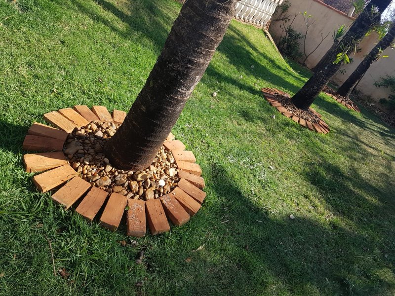 Chácara, 4 quartos, 1086 m² - Foto 6