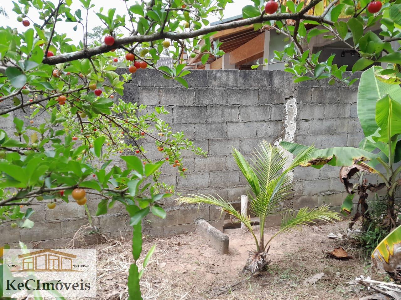 Fazenda à venda com 3 quartos, 1000m² - Foto 14