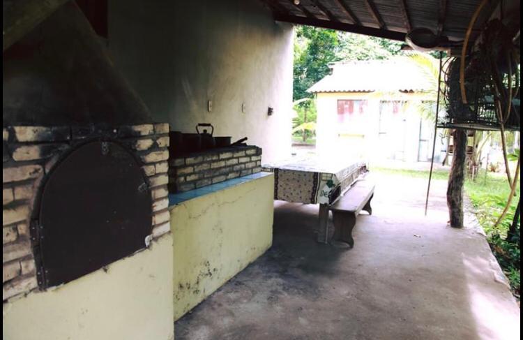 Chácara à venda com 3 quartos, 30000m² - Foto 29