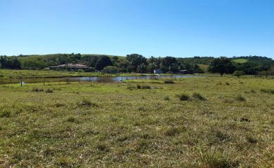 Fazenda à venda com 2 quartos, 210000m² - Foto 23