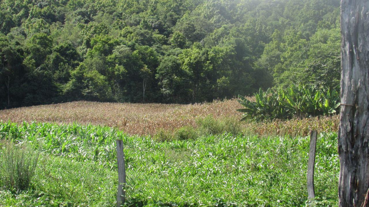 Loteamento e Condomínio à venda, 103000m² - Foto 34