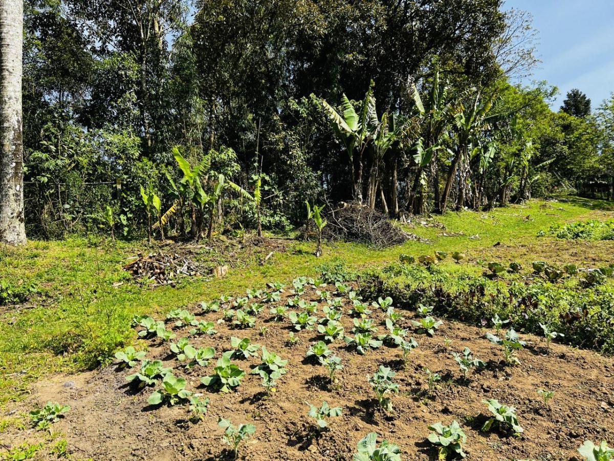 Fazenda à venda, 6300m² - Foto 46