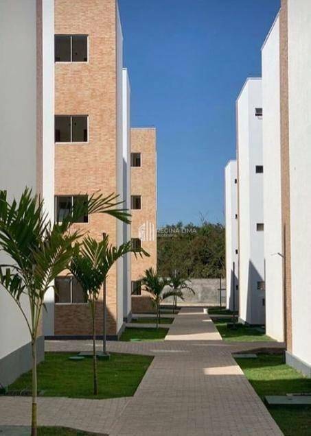 Apartamento à venda com 3 quartos, 77m² - Foto 7