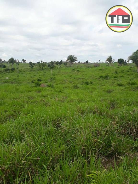 Fazenda à venda, 1597200M2 - Foto 7