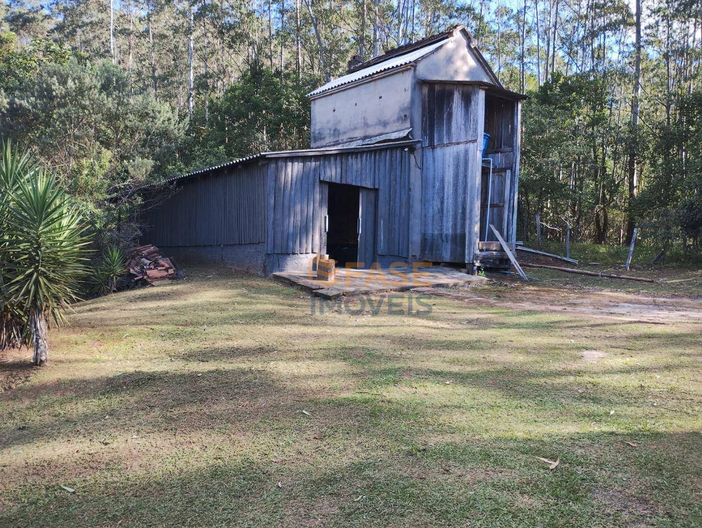 Sítio, 2 hectares - Foto 5