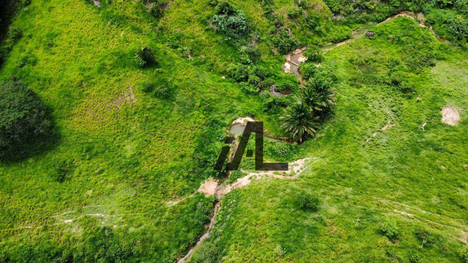 Fazenda à venda, 5469200M2 - Foto 108