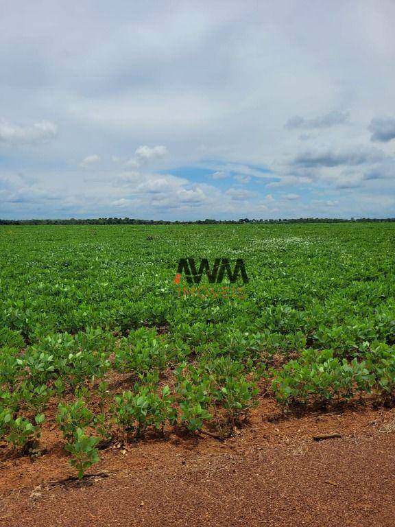 Fazenda à venda, 5130400M2 - Foto 7