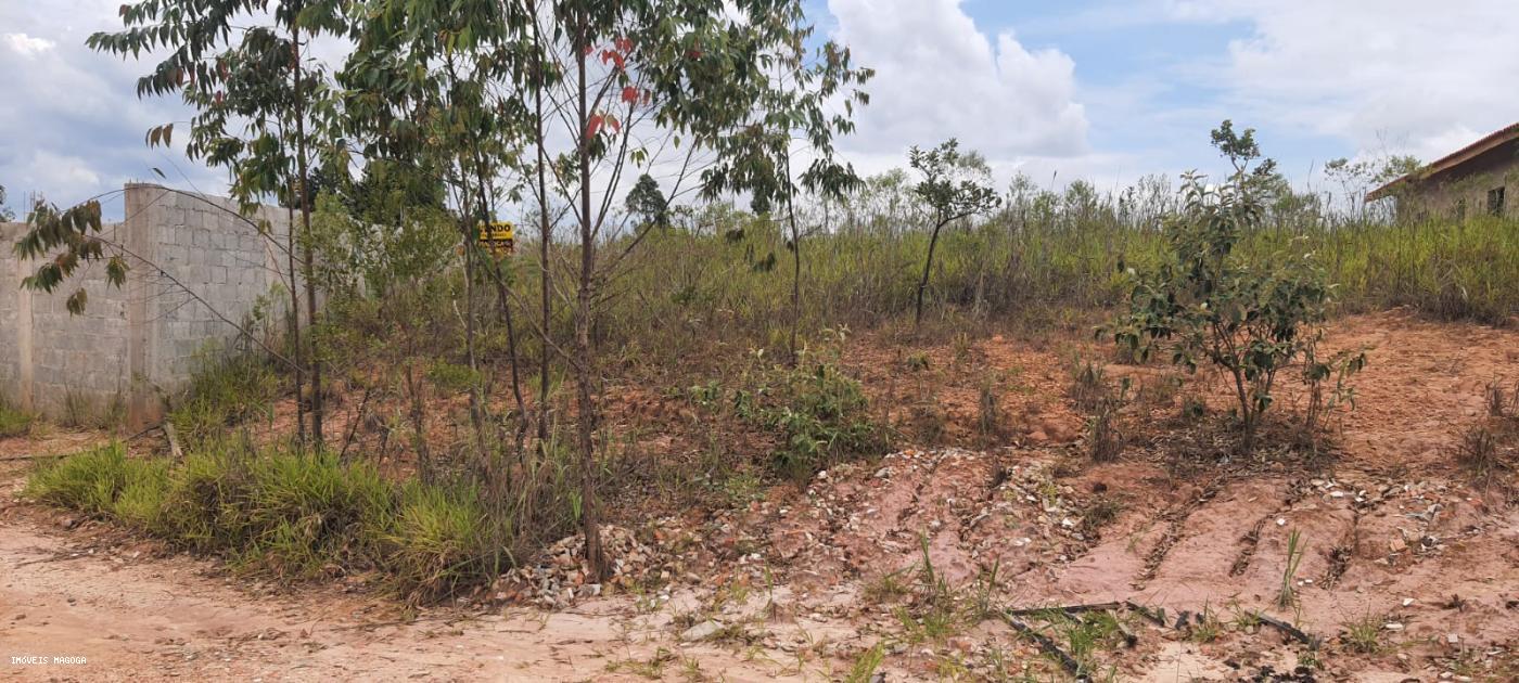 Fazenda à venda, 1000m² - Foto 5