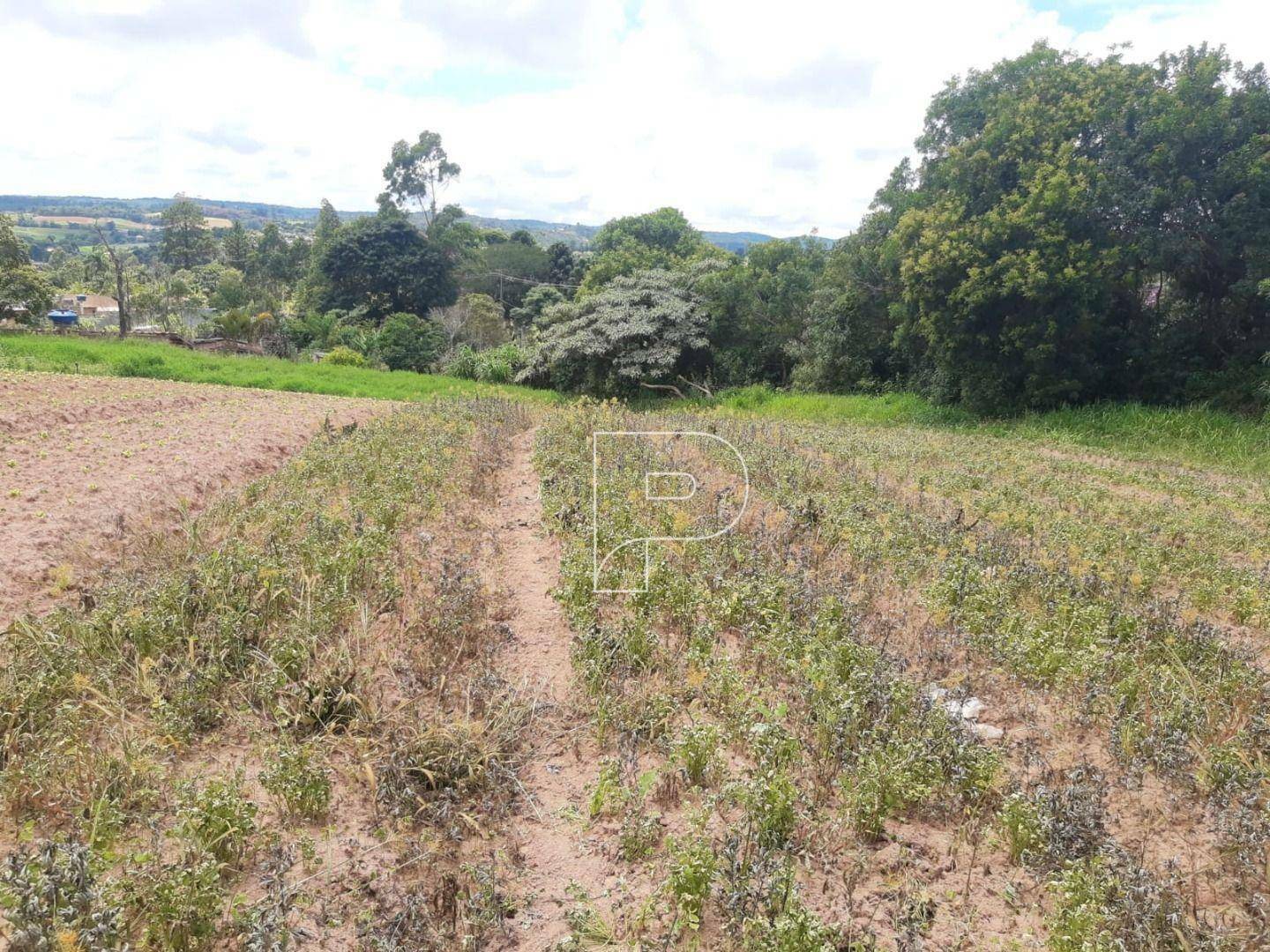 Terreno à venda, 39000M2 - Foto 15