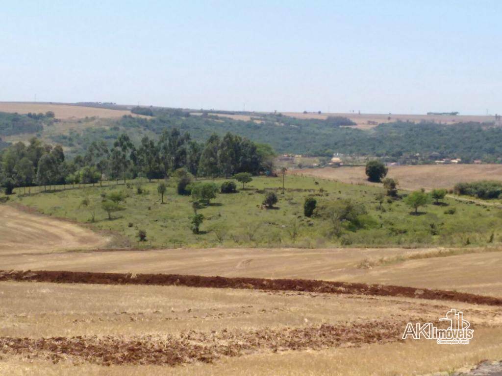 Chácara à venda com 1 quarto, 20000M2 - Foto 3