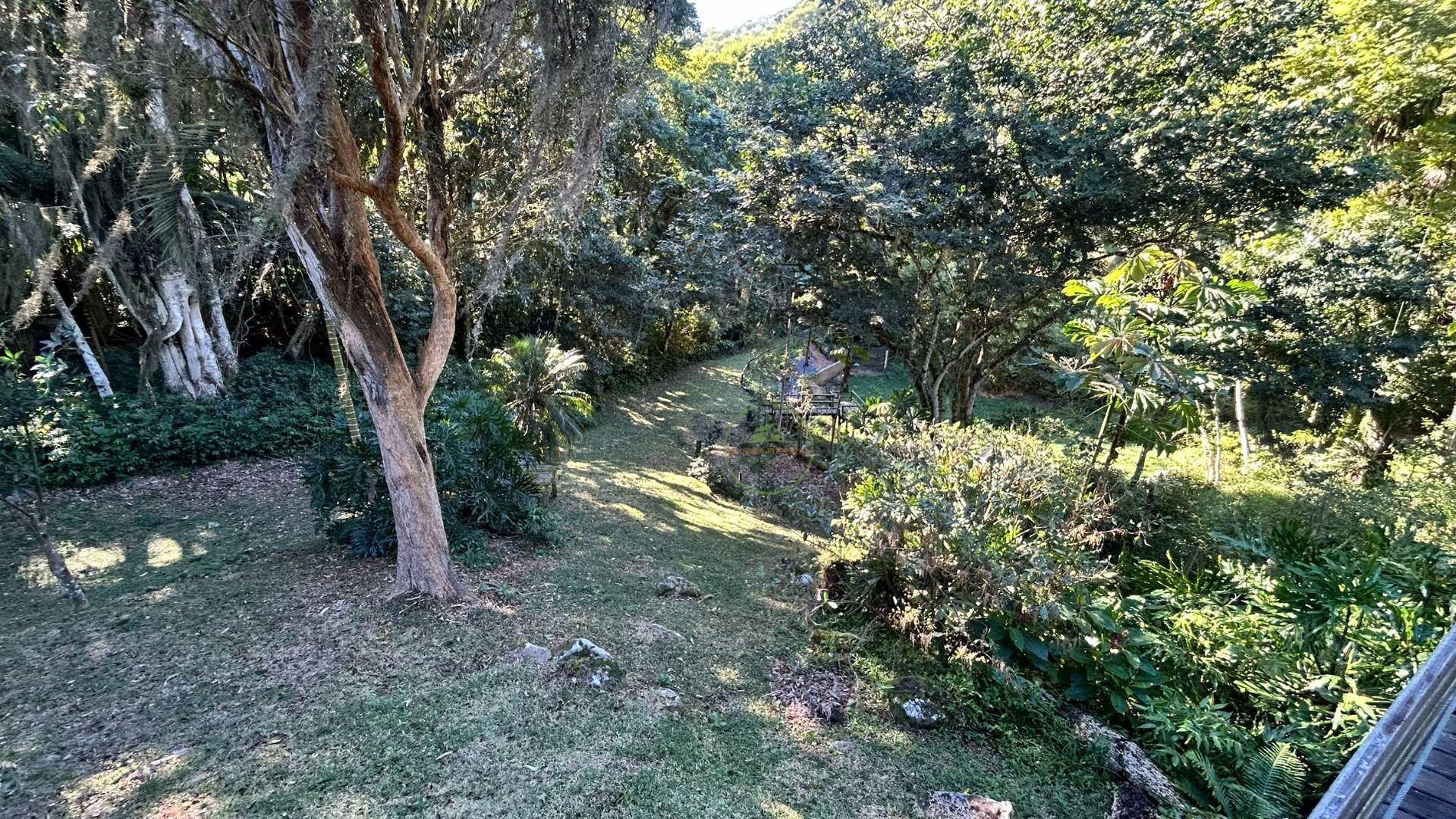 Sítio, 14 hectares - Foto 34