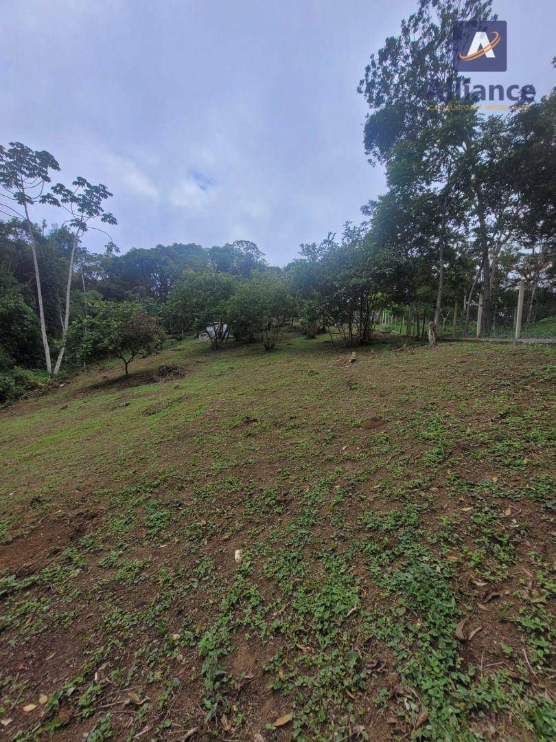 Sítio à venda com 1 quarto, 100m² - Foto 3
